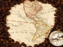 Lịch sử cây cà phê
